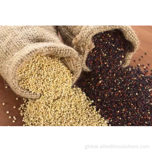 Quinoa peptide Small molecular Quinoa peptide Factory